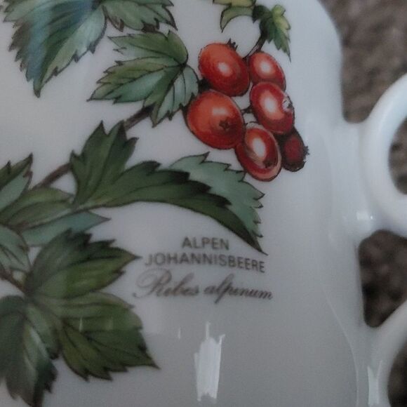 Seltmann Weiden Spulmaschinenfest waldbeere/ forest berries Tea Cup and Saucer - Picture 6 of 8
